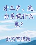 才三岁，洗白系统什么鬼？小说全集