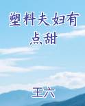 塑料夫妇有点甜