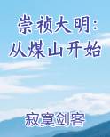 崇祯大明：从煤山开始