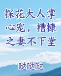 探花大人掌心宠，糟糠之妻不下堂在线阅读小说