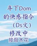 年下Dom的快感指令（Ds文）修改中原著小说
