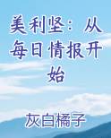 美利坚:从每日情报开始作者:灰白橘子