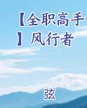 【全职高手】风行者