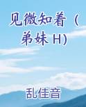 见微知着（弟妹 H）小说下载