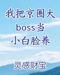 我把京圈大boss当小白脸养
